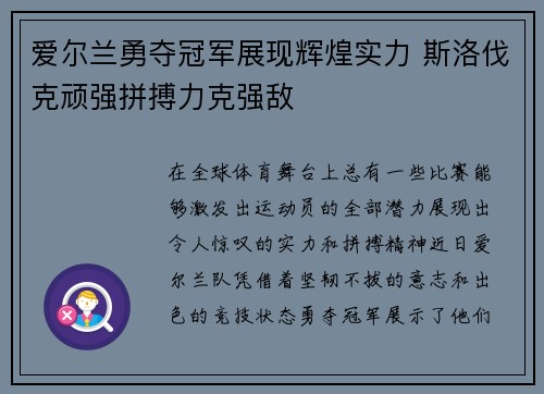 爱尔兰勇夺冠军展现辉煌实力 斯洛伐克顽强拼搏力克强敌