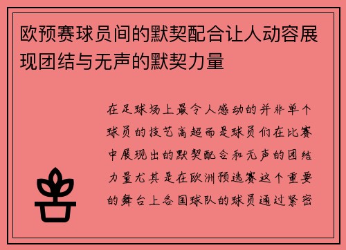 欧预赛球员间的默契配合让人动容展现团结与无声的默契力量