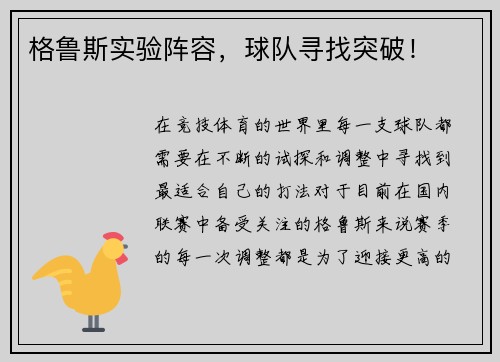 格鲁斯实验阵容，球队寻找突破！